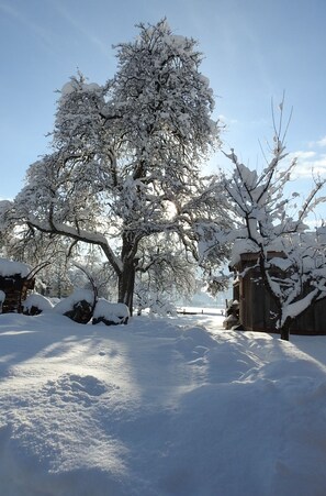 A snow-covered landscape with a large tree and a wooden structure.