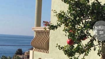 A building with a balcony, air conditioning unit, and potted plants.