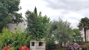 Un jardín con plantas en macetas y una estructura de piedra.