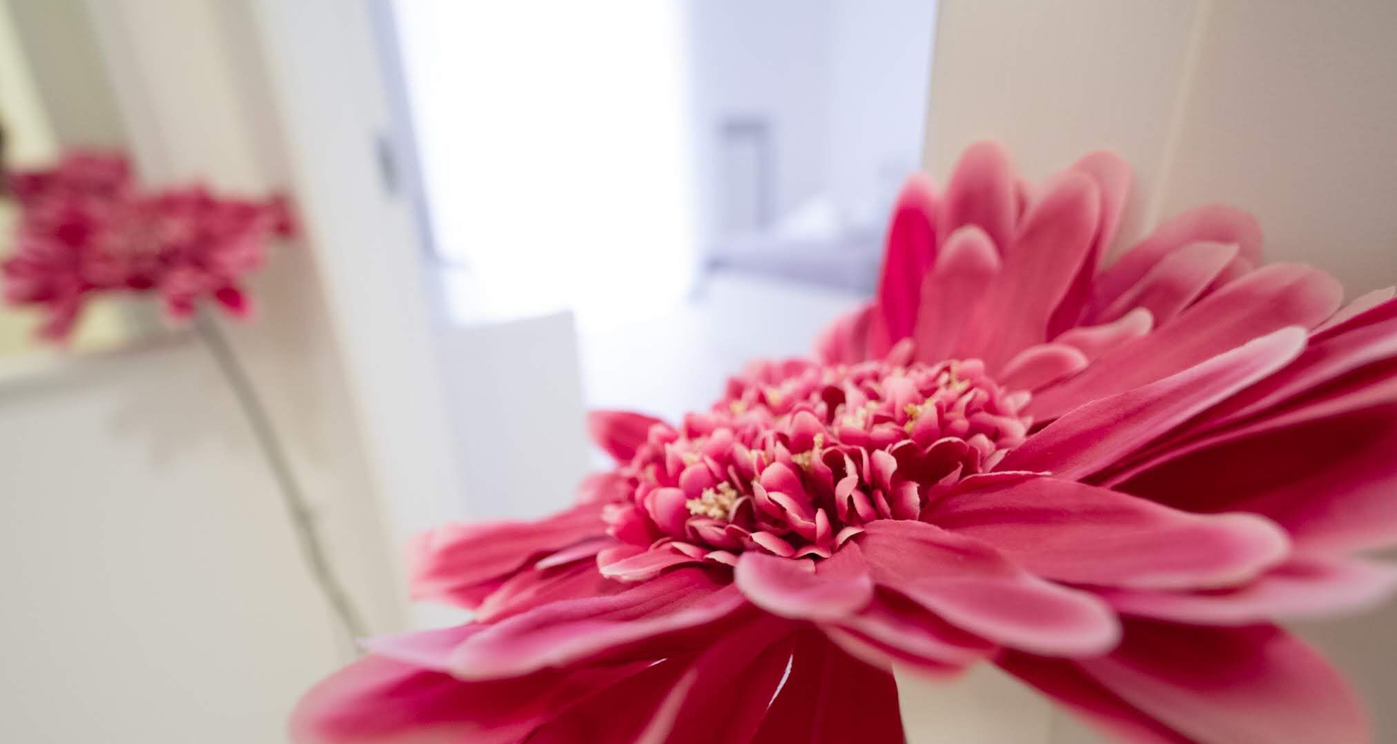 Foto - Casa Viviana - Bari Policlinico