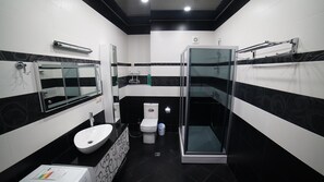 Secadora de cabello, toallas, jabón, shampoo 