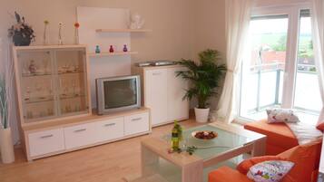 Fernseher