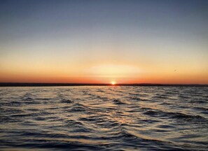 بالقرب من الشاطئ