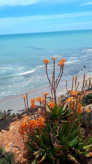 A coastal landscape with a sandy beach and ocean waves.