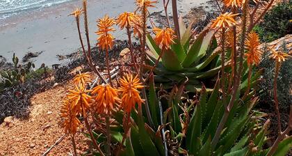 Luxurious apartment right in the golf course with a view of the countryside