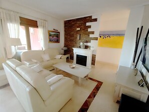 TV connectée, cheminée, lecteur de DVD, livres