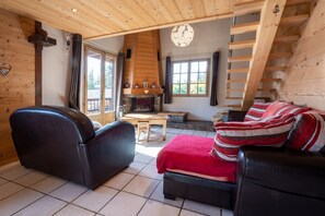 TV, fireplace, books