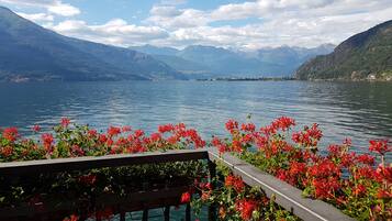 Une vue sur un lac, avec des montagnes en arrière-plan et des fleurs rouges au premier plan.
