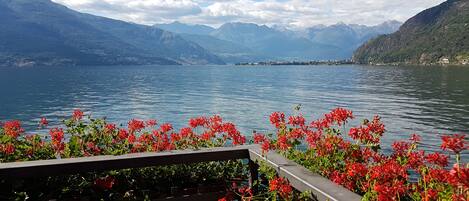 Vista de un lago con montañas al fondo y flores rojas en primer plano.