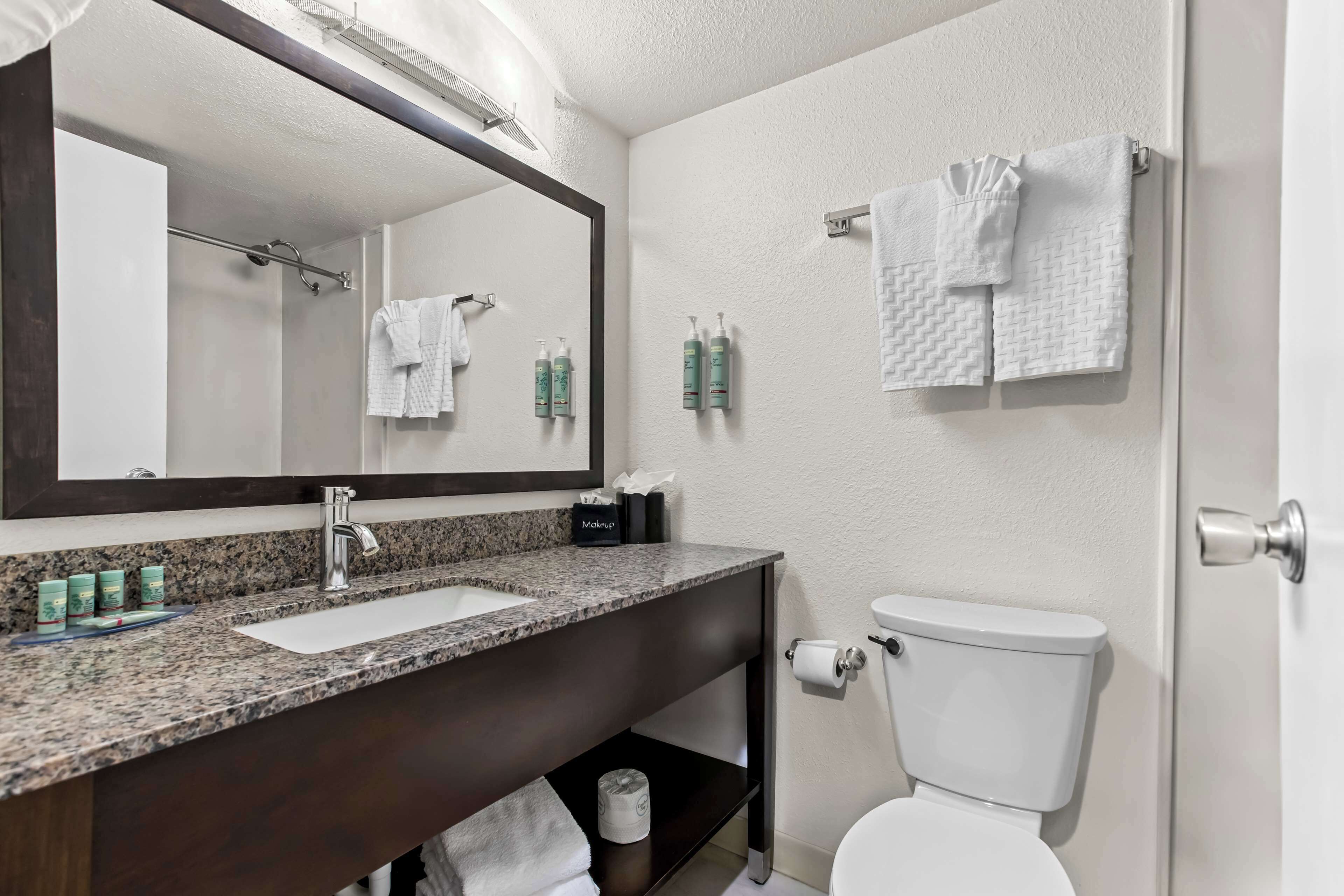 Une salle de bain avec un lavabo à vasque en granit, un grand miroir, des toilettes blanches et deux serviettes suspendues à des crochets.