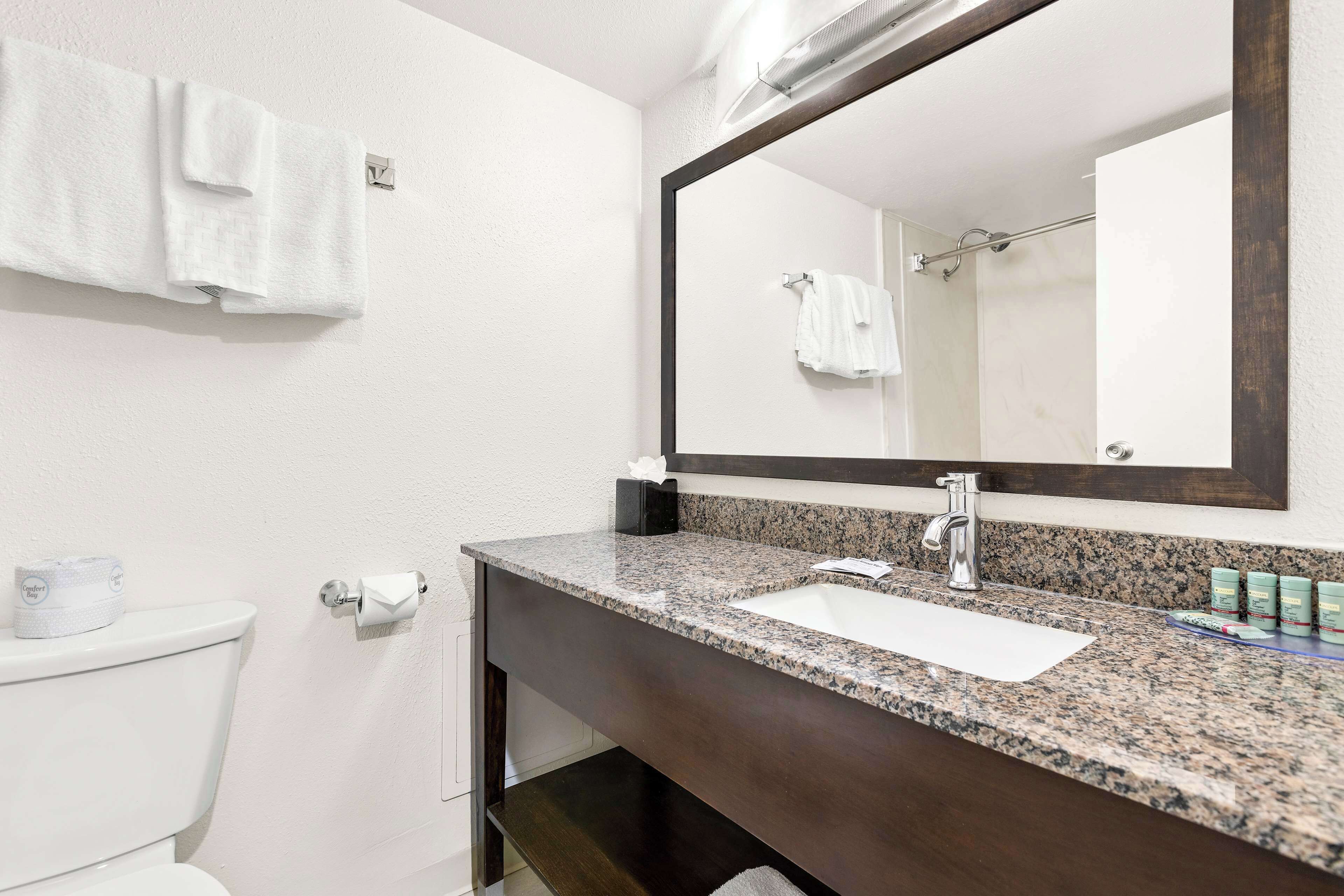 A bathroom with a white toilet, a sink with a dark countertop, and a mirror above the sink.