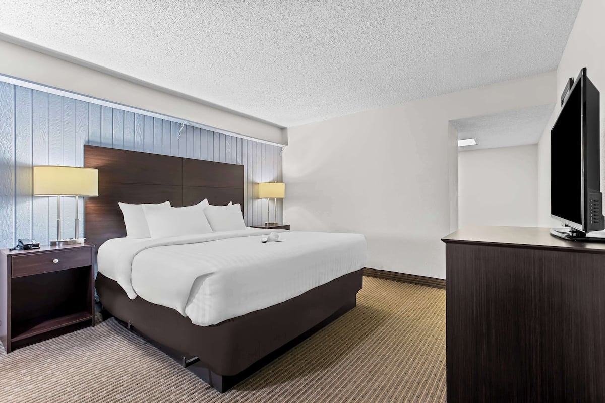 Phòng Suite dành cho gia đình, nhiều giường, không hút thuốc, bếp nhỏ (with Sofabed) | Bộ đồ giường cao cấp, chăn bông, nệm có lớp đệm bông, bàn
