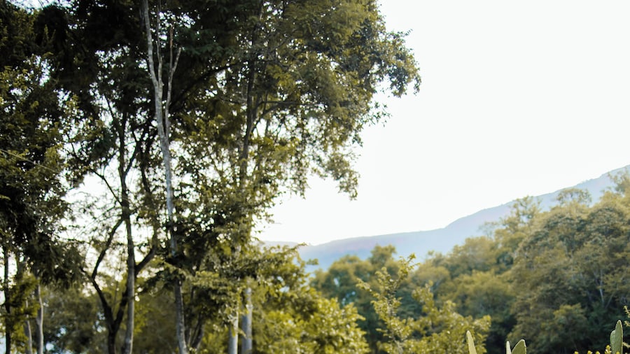 Rocky Drift Private Nature Reserve