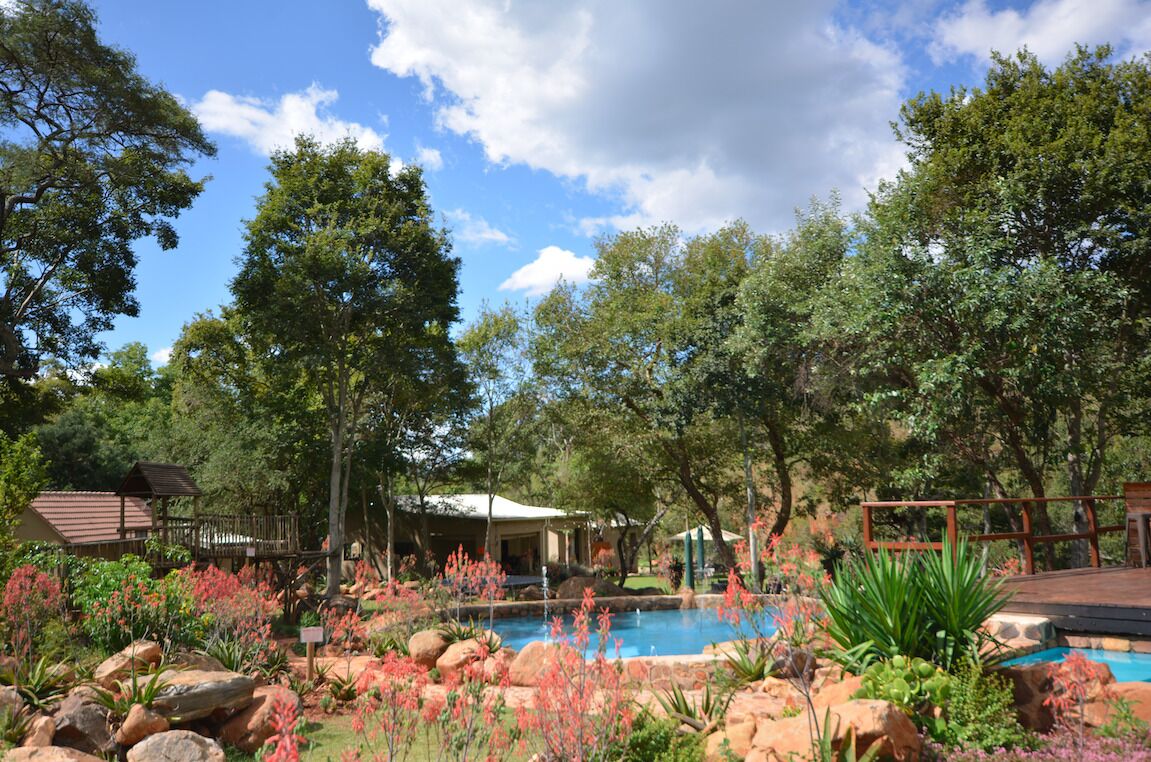 A pool surrounded by rocks and plants, with trees and a wooden deck in the background.