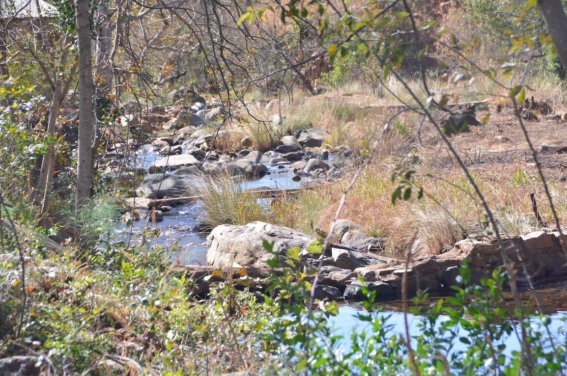 A natural outdoor setting with a stream, rocks, and vegetation.