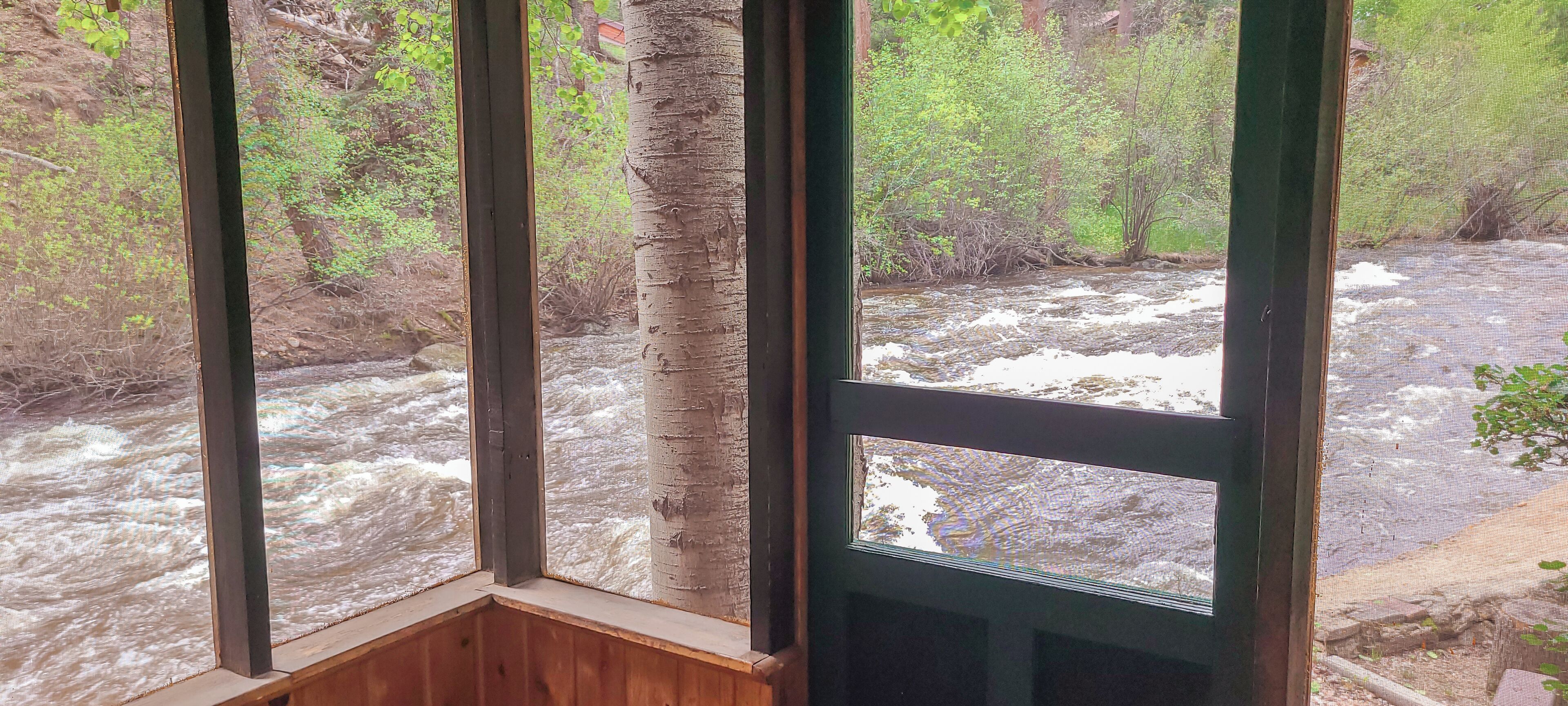 Panoramic Cabin, 1 Queen Bed, River View