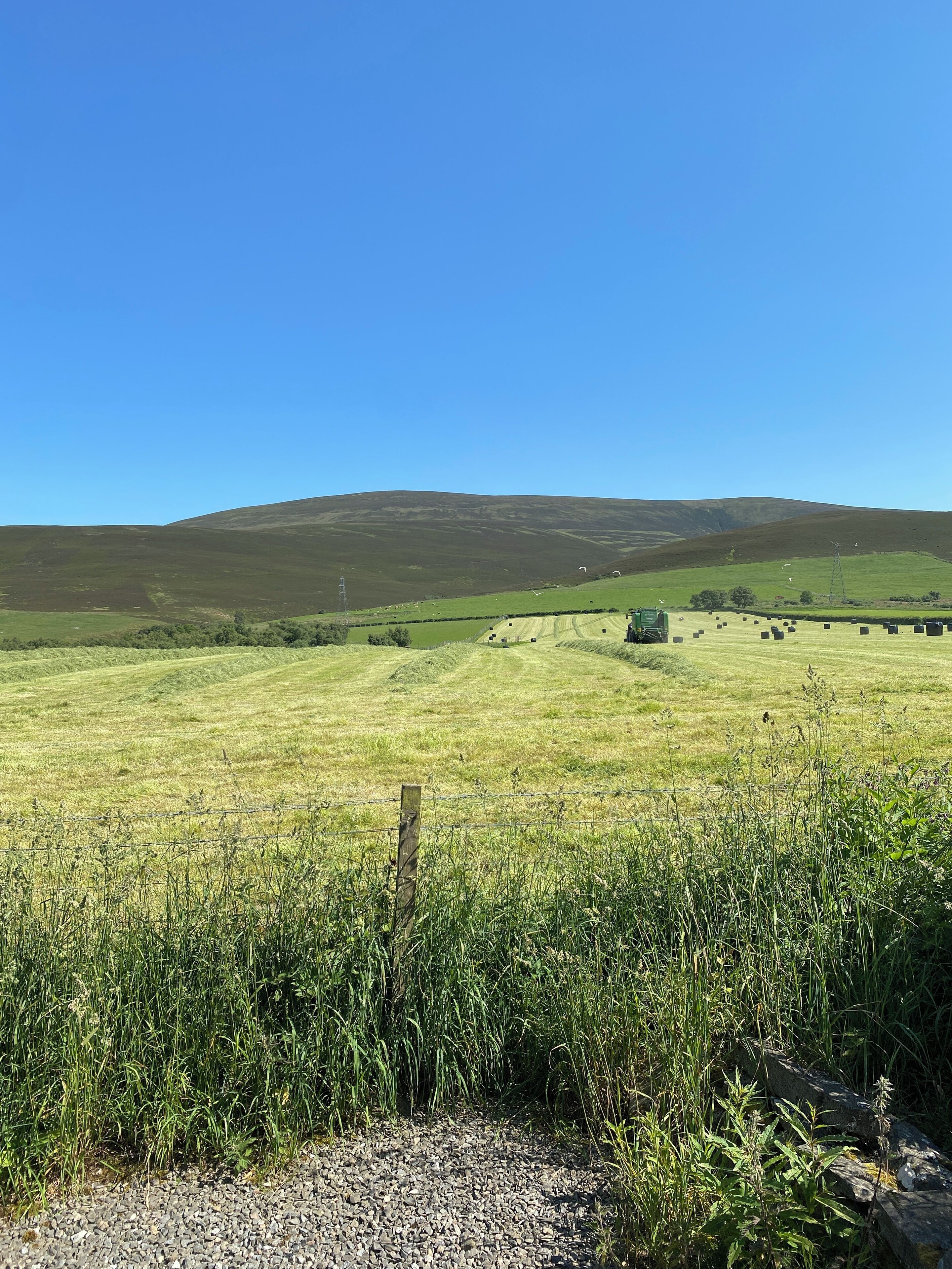 A rural landscape with a grassy field, a fence, and a hill in the background.