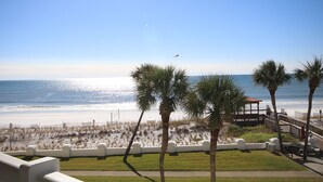 A beach view with palm trees, a wooden deck, and a fence.