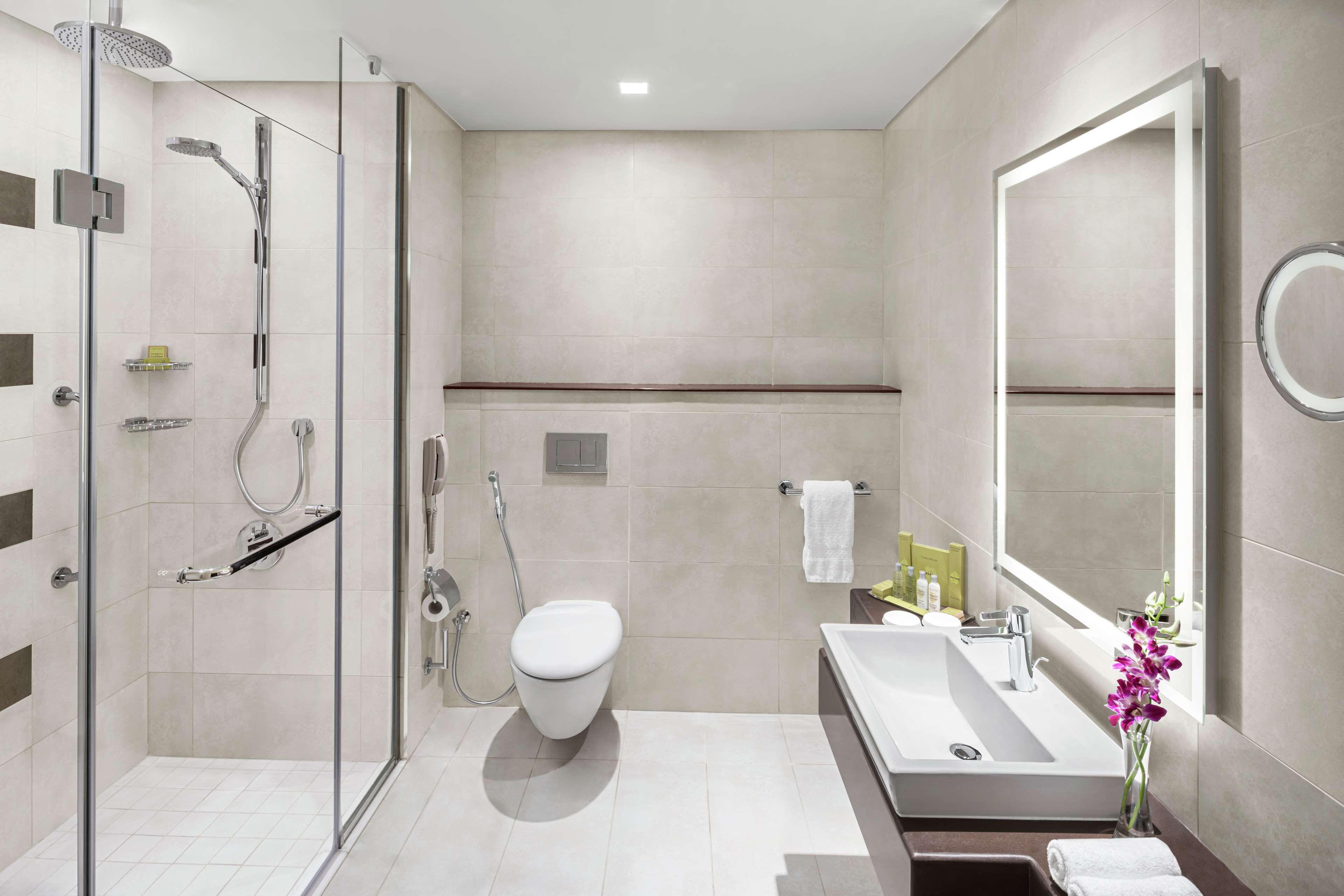 bathtub, free toiletries, hair dryer, bathrobes