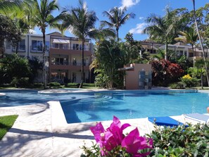 Outdoor pool, sun loungers