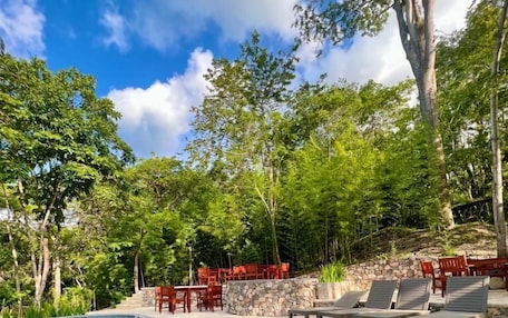 A clear swimming pool surrounded by lush greenery and stone walls.