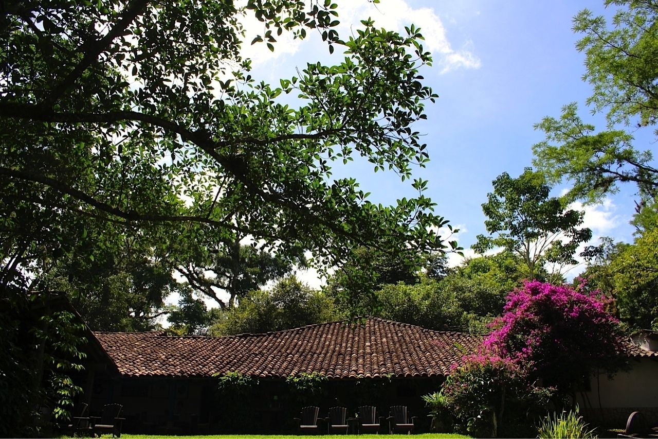 Un edificio con techo de tejas rodeado de abundante vegetación y un gran árbol.