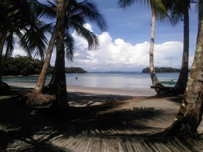 Una playa con palmeras y vista al océano.