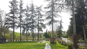 Garden - B&B Il Giardino delle Noci (Auditore)