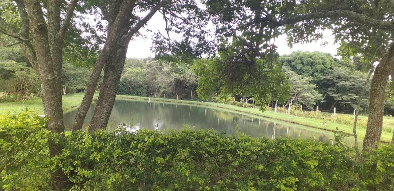 A serene pond surrounded by lush greenery and trees.