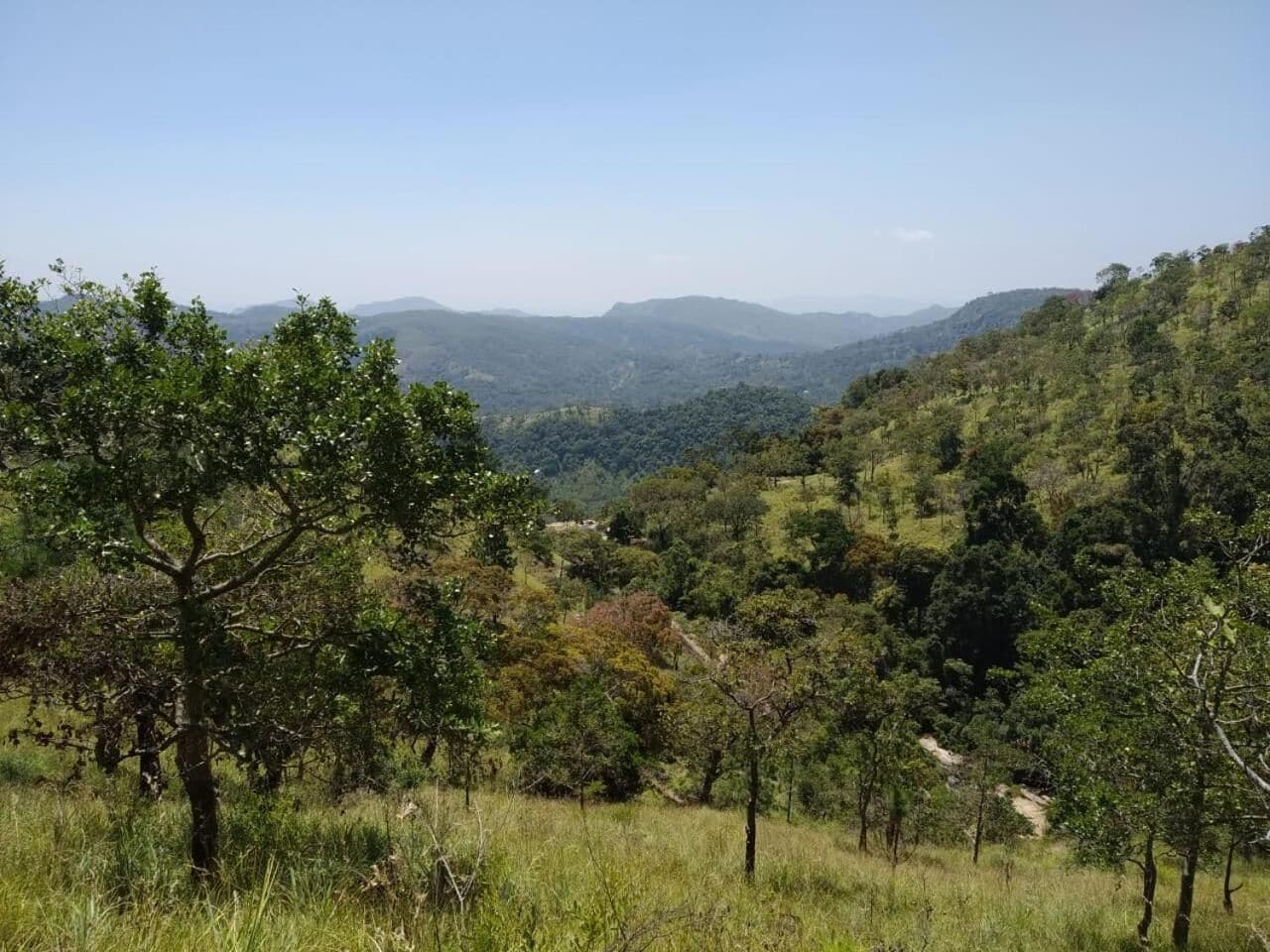 Un paisaje montañoso con árboles y cielo despejado.