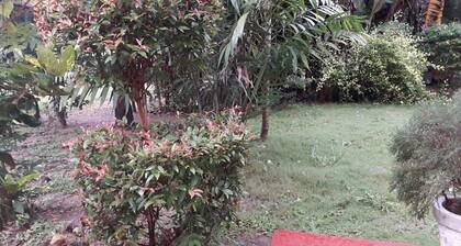 Hotel G Excursion