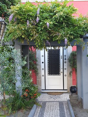Una puerta blanca con mosquitera negra, rodeada de abundante vegetación y flores moradas.