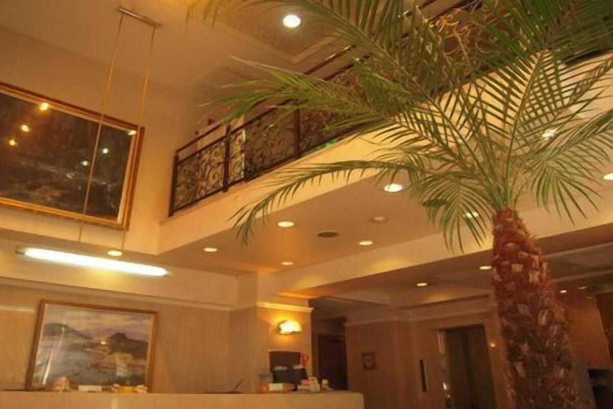 A lobby with a palm tree, framed artwork, and a staircase.
