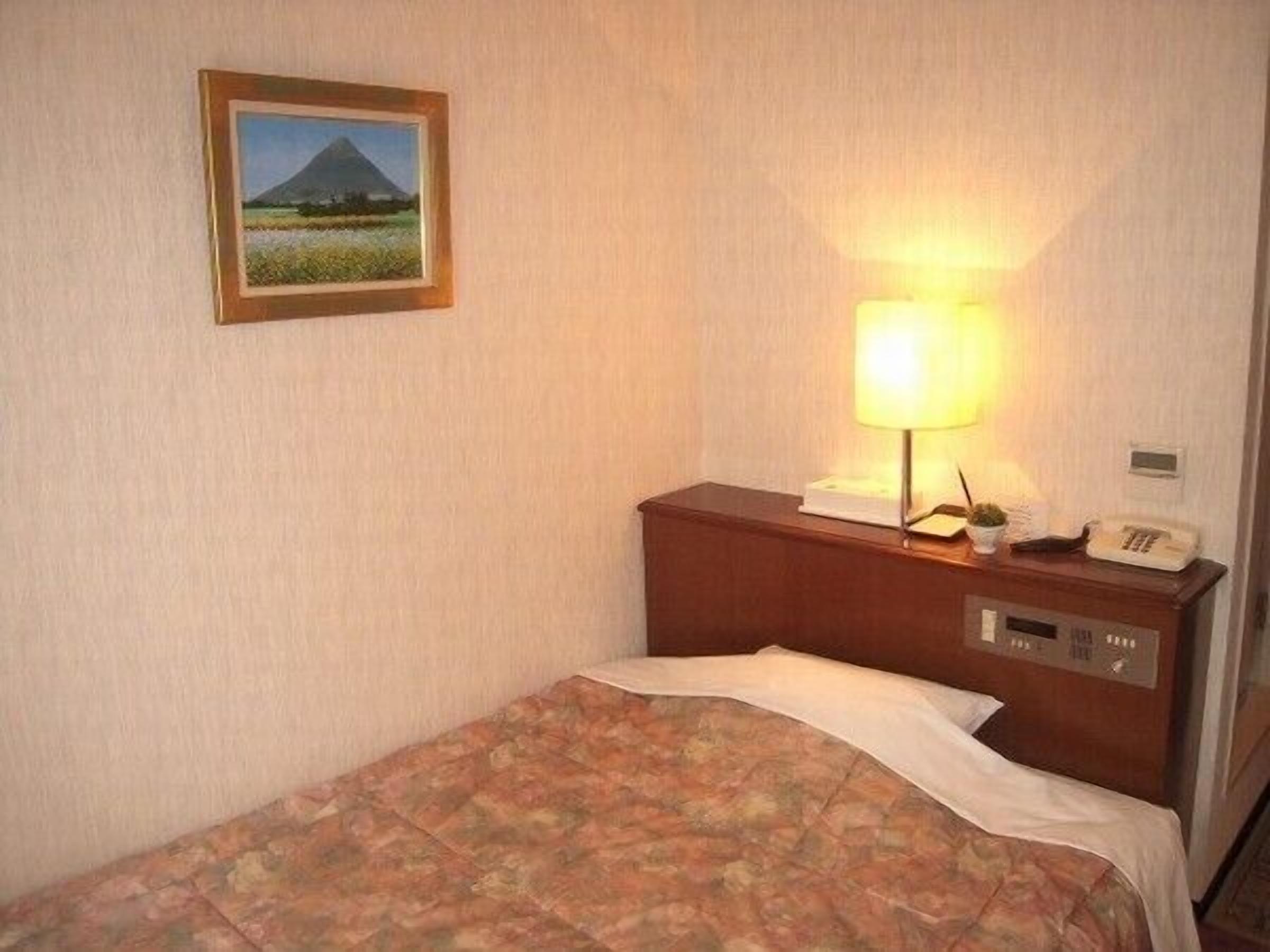 A hotel room with a bed, a nightstand with a lamp, a telephone, and a framed picture on the wall.