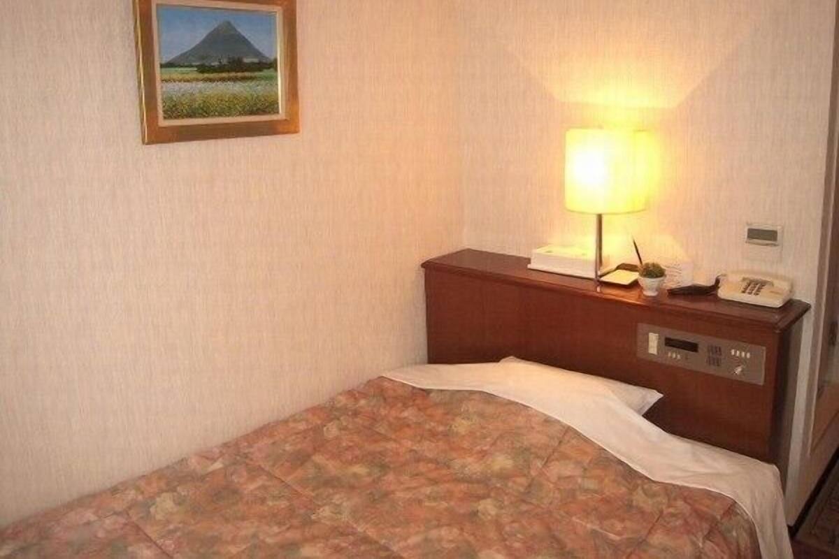 A hotel room with a bed, a nightstand with a lamp, a telephone, and a framed picture on the wall.