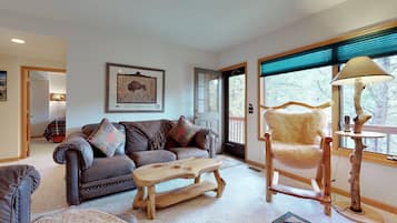 TV, fireplace, DVD player, video library