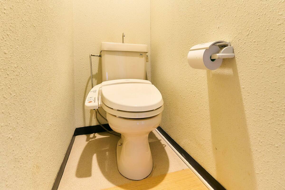 Eine Toilette mit Spülhebel, Toilettenpapierhalter und Fußmatte.