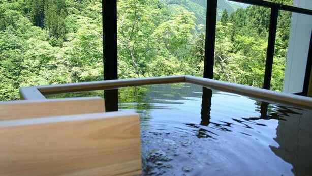 A wooden bench by a clear pool with a forest view. - Iya Bijin (Miyoshi)