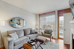 TV, fireplace, books