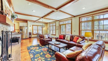 TV, fireplace, books