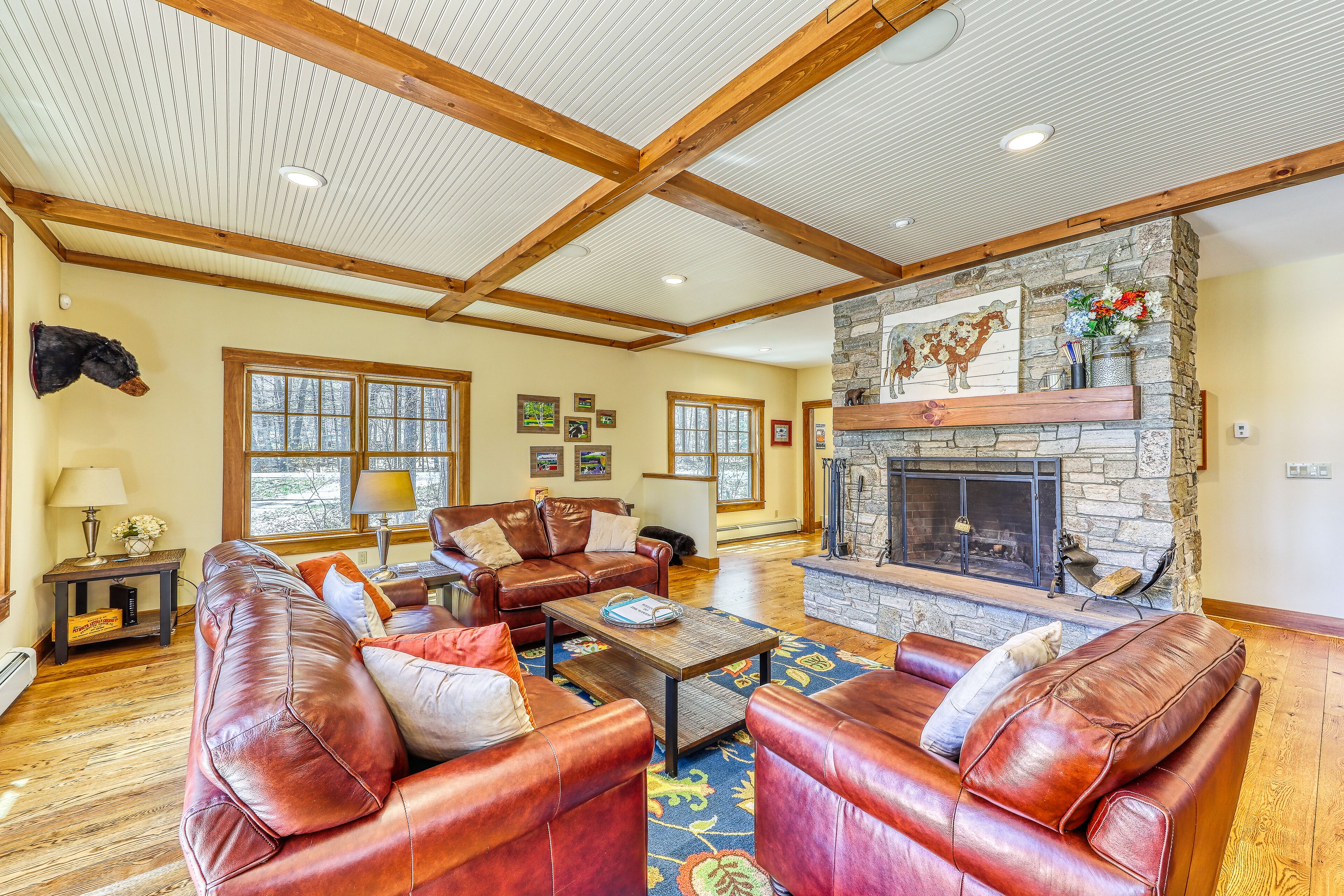 Télévision, cheminée, livres