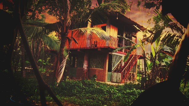 A rustic wooden house with a thatched roof, surrounded by dense tropical foliage. - Wooden Paracosm & Resort (Thissamaharama)