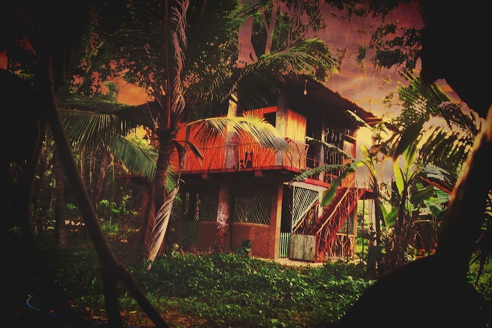 Wooden Paracosm & Resort
