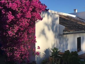 Terrein van de accommodatie