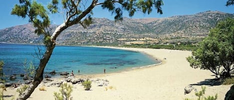 Strand