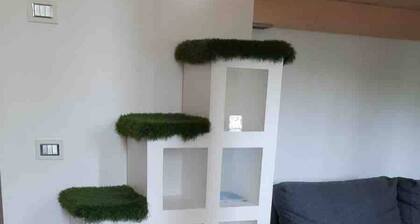 Tree House Along Canal Naviglio Grande