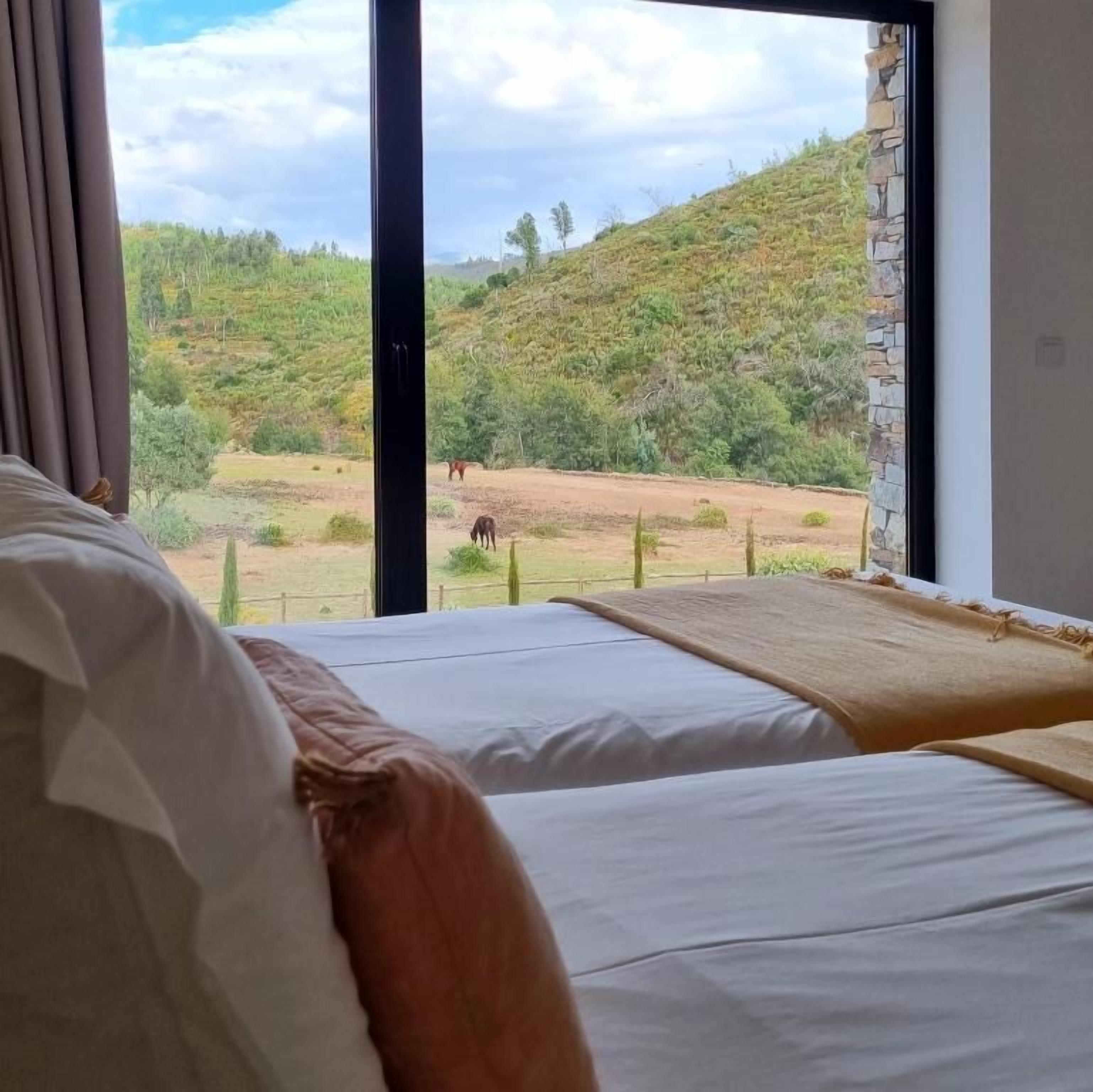 Ett hotellrum med ett stort fönster som erbjuder utsikt över ett kuperat landskap med gles vegetation och ett staket.
