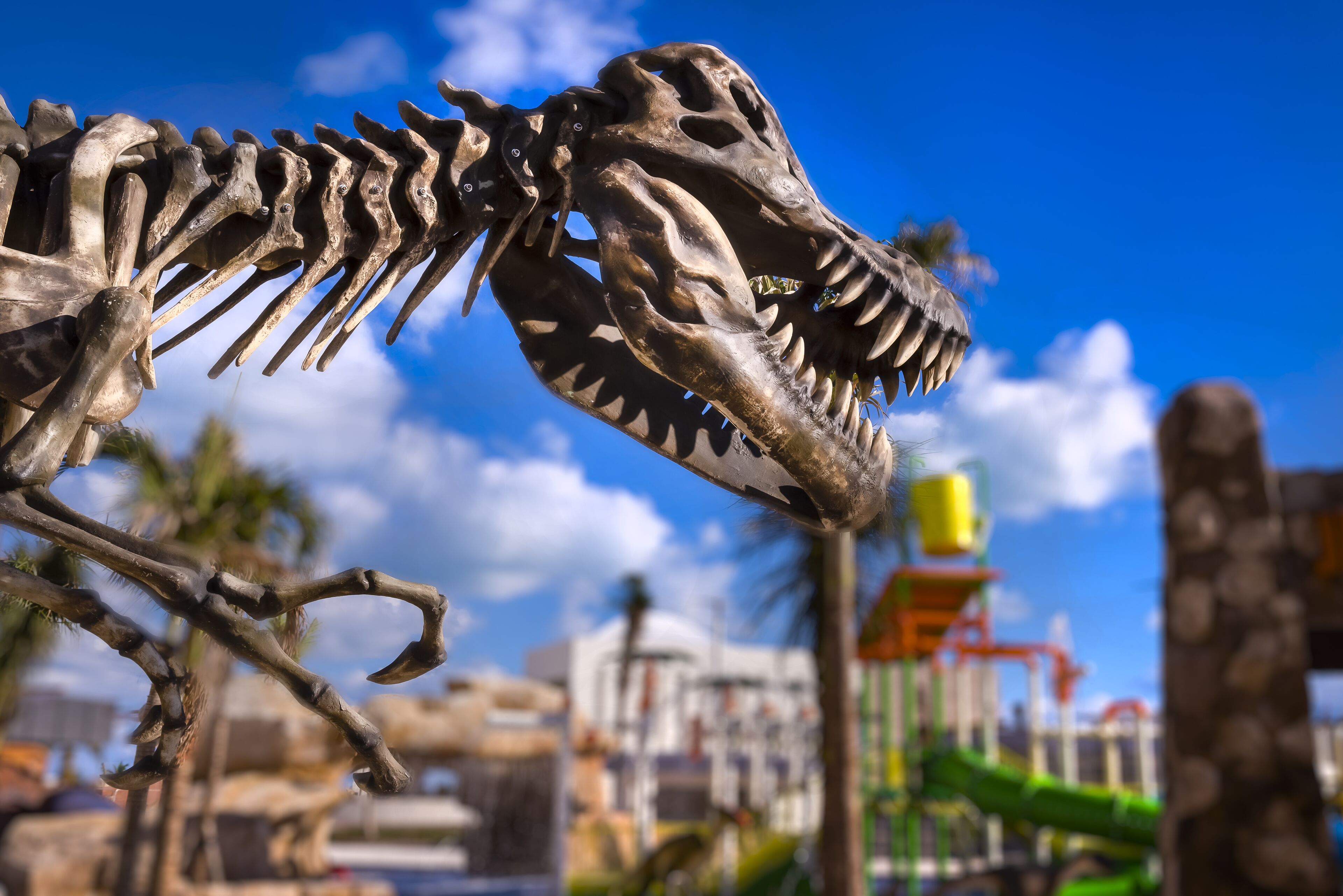 Exposição de esqueletos de dinossauros com céu claro e edifícios ao longe.