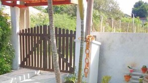 A well-maintained garden with a variety of potted plants, a small flag, and a wooden fence. - Casa Aconchegante Lazer e Descanso (Araruama)