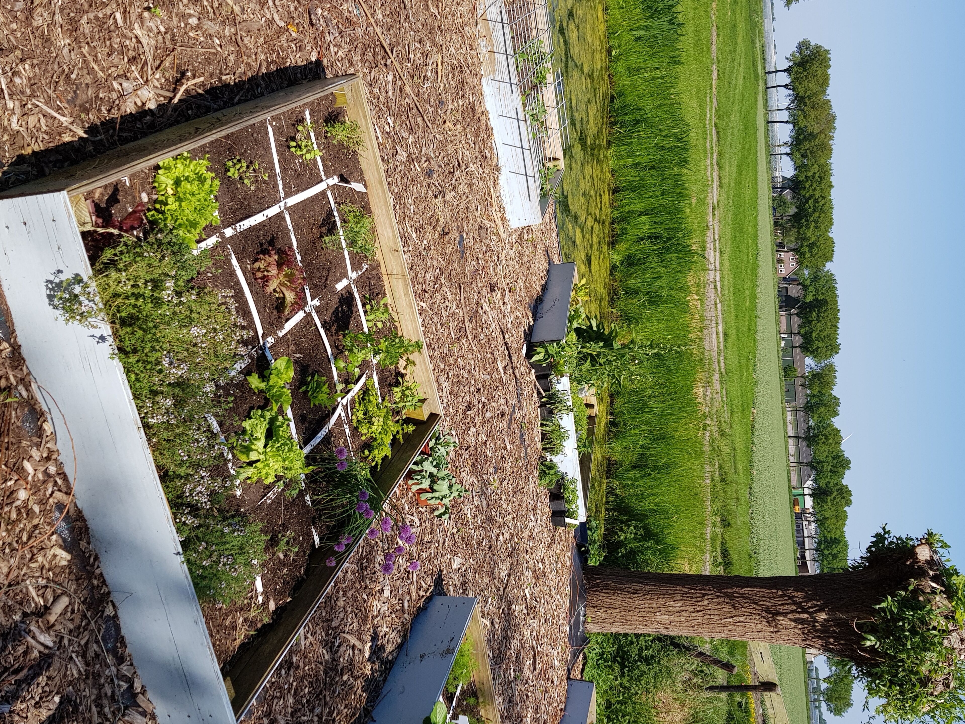 Terrein van de accommodatie